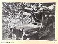 BOUGAINVILLE, 1945-05-18. A 15 FIELD COMPANY