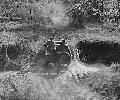 Demonstration the ease of manhandling the Army's new 1/4-ton Bantam truck (Ford GP) on rough terrain, Fort Myer, Virginia 1941 Apr 21.