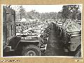 BRISBANE, QLD. 1943-11-05. A SHIPMENT OF JEEPS, LINED UP, PENDING MOVEMENT INSTRUCTIONS, AT HEADQUARTERS, 4TH AUSTRALIAN ORDNANCE VEHICLE PARK, MOUNT GRAVATT.