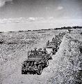 1st Cav. Div. Driving to Manila for Troop Rescue, March 1945