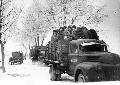 1st Ukranian Front, near town of Rozenberg, January 1945. http://lend-lease.airforce.ru