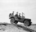 Ford GP, Pine Camp, Aug. 8. 1941