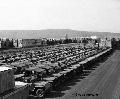 US Army Jeeps Parked at Army Depot Belle Mead, New Jersey, USA, Febr 20 1946