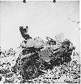 Wrecked M38