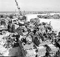 Okinawa,  November 11, 1949