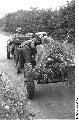 Holland. Arnheim September 1944