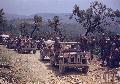 Towards Rome. Italy, May 23, 1944