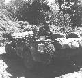 20341604-S Willys MB, Barenton, France, 11 August 1944