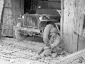 20757955 Willys MB, Korea, August 1950