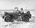 USMC 120310-S Willys MB, US, October 1946