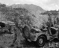 20645383 Willys MB 27Th Regiment, Korea, August 08, 1950