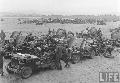 20761129 Ford GPW, 27Th Regiment, Korea, August 08, 1950 Korea