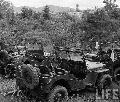 20671658 Willys MB, Kaesong, Korea. 1951