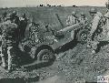 20159897-S Ford GPW 323rd Inf, 81st Div training, California, US, 1944