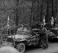 BLACK SHEEP 20(6?)55133-S 6th AD Frankfurt March 1945