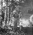 W-2033865 MB